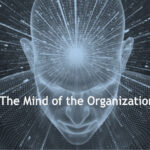 The-Mind-of-the-Organization-4