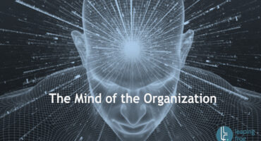 The-Mind-of-the-Organization-4