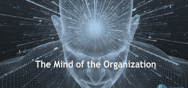 The-Mind-of-the-Organization-4